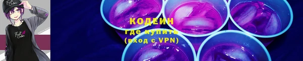 ПСИЛОЦИБИНОВЫЕ ГРИБЫ Абаза