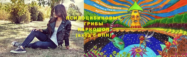 спайс Рославль