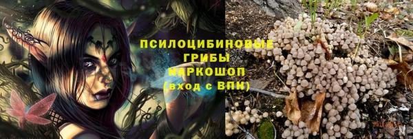 ПСИЛОЦИБИНОВЫЕ ГРИБЫ Абаза