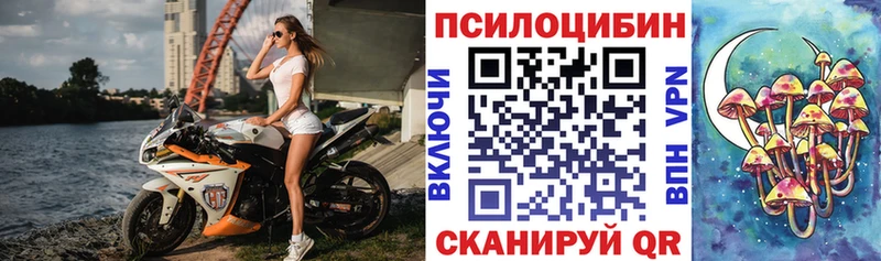 Псилоцибиновые грибы Psilocybe  Углегорск 